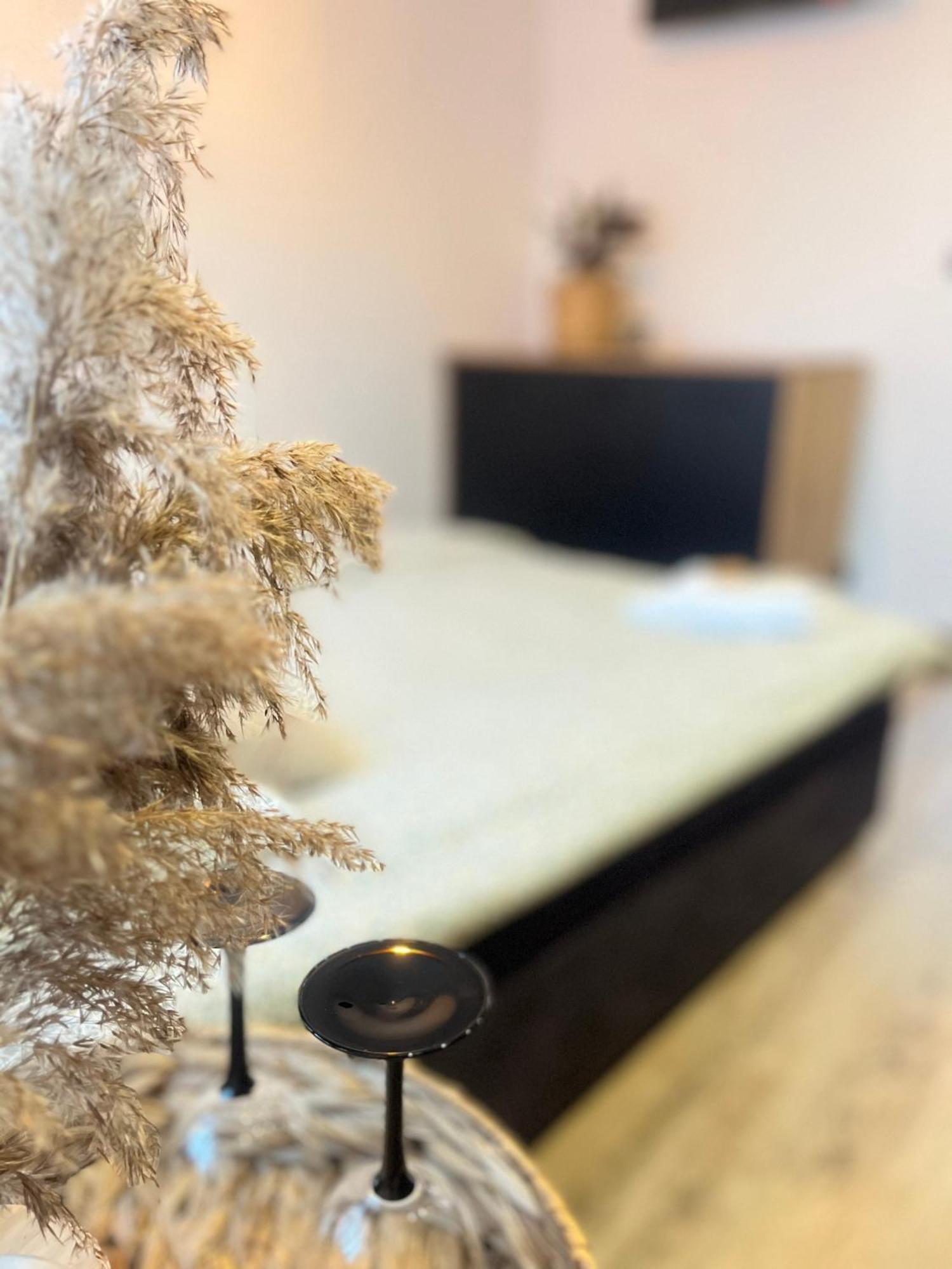 Nowoczesny Maly Apartament Nr 3 Ожиш Экстерьер фото