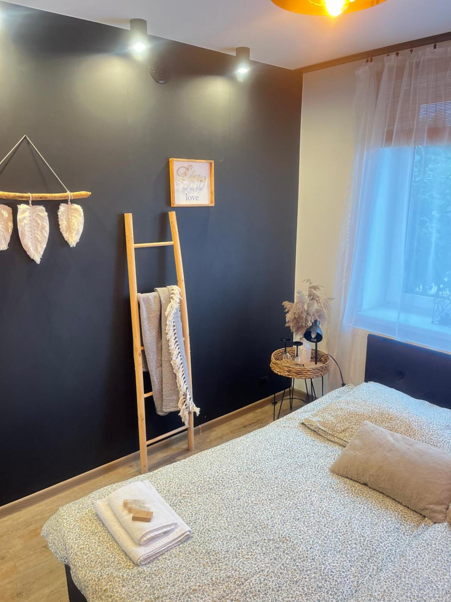 Nowoczesny Maly Apartament Nr 3 Ожиш Экстерьер фото