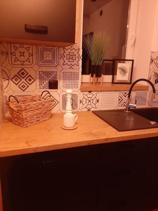 Nowoczesny Maly Apartament Nr 3 Ожиш Экстерьер фото